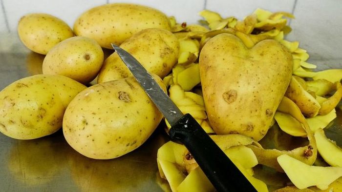 প্রতীকী ছবি