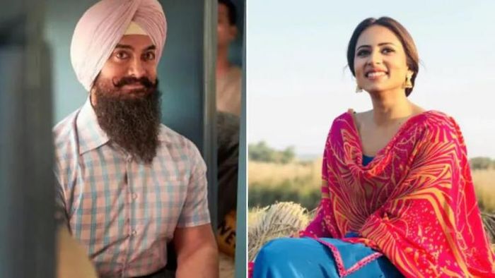 আমির - সরশুন