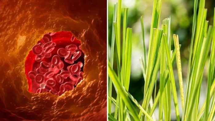 প্রতীকী ছবি