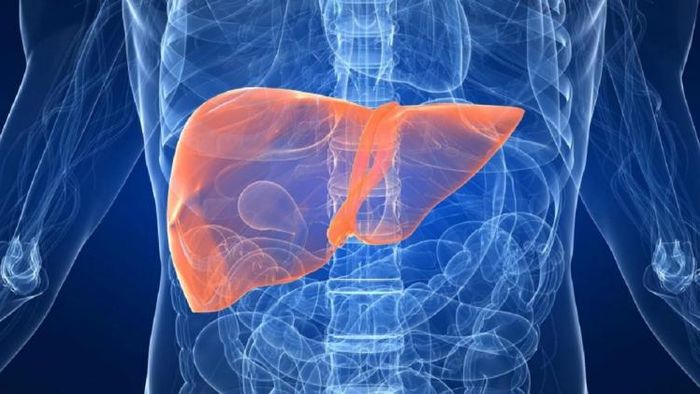 ছবিটি প্রতীকী