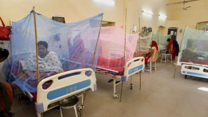 কলকাতা-সহ ১২ পুরসভার ডেঙ্গি পরিস্থিতি উদ্বেগজনক