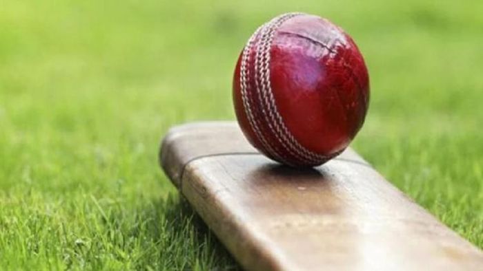 ক্রিকেট খেলতে গিয়ে মৃত্যু। প্রতীকী ছবি