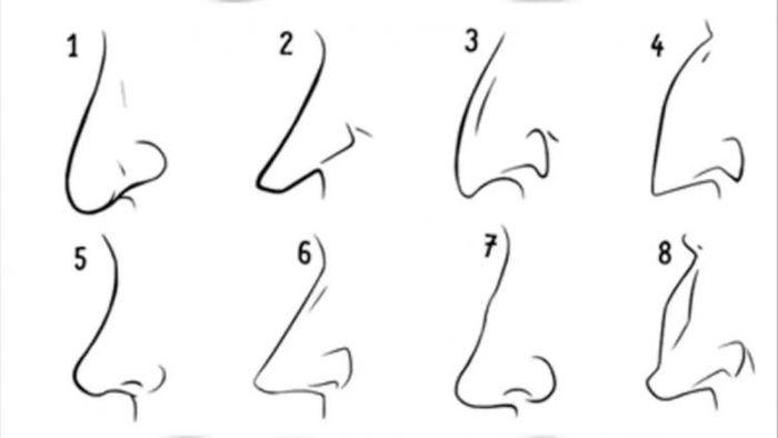 নাকের আকার বলে দেয় ব্যক্তির চরিত্র (প্রতীকী ছবি)