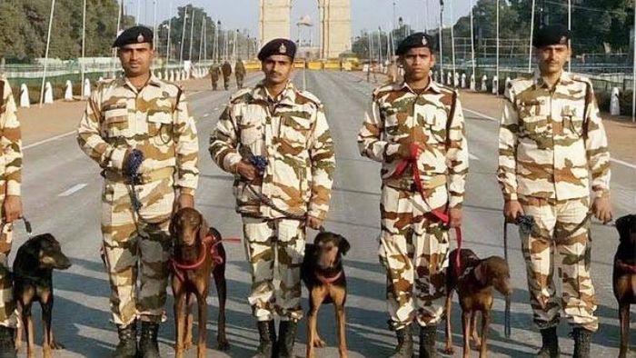 আইটিবিপিতে নিয়োগ