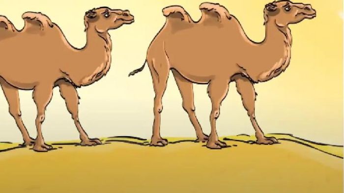 ছবির মধ্যে ভুল রয়েছে, শুধু জিনিয়াসরাই খুঁজে পেয়েছেন, পরীক্ষা করে দেখবেন?