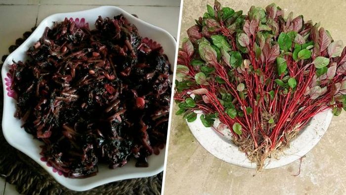 লাল শাক।