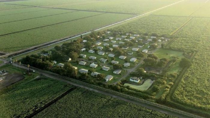 এই গ্রামের বেশিরভাগ মানুষই যৌন অপরাধের সঙ্গে যুক্ত