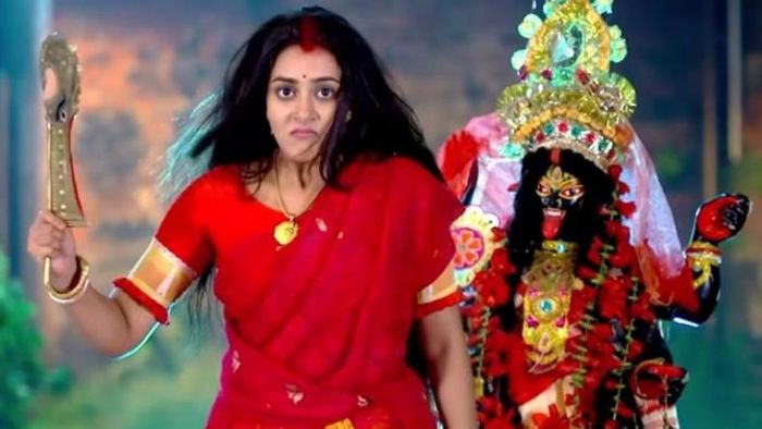 গৌরী এলো