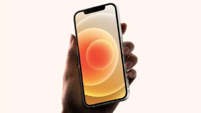 দাম মাত্র ৩৩, ৯৯০ টাকা! এ বার iPhone কিনেই ফেলুন