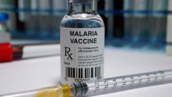 এই ভ্যাকসিন (Malaria Vaccine) এই মশাবাহিত রোগের বিরুদ্ধে ৭০-৮০ শতাংশ সুরক্ষা দিতে সক্ষম।