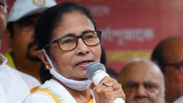 ফাইব ছবি