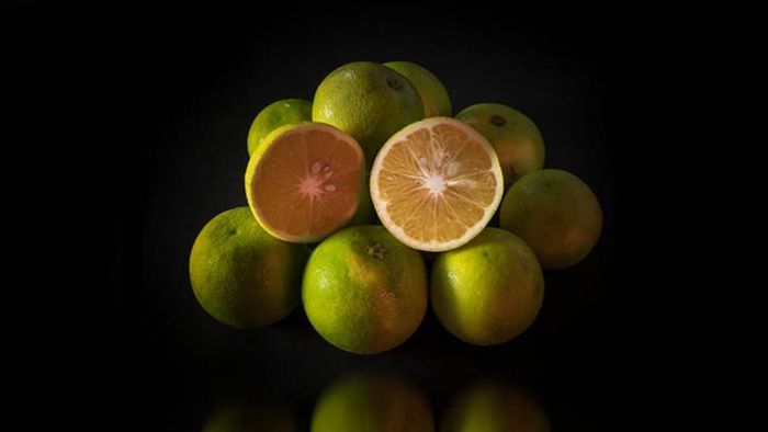 স্বাস্থ্যের জন্য দারুণ উপকারী মোসাম্বি লেবু