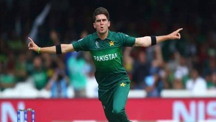 শাহিন শাহ আফ্রিদি