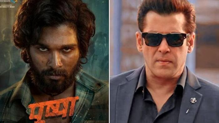 ১২৫ কোটি! পুষ্পা ২-এ সলমানের সমান পারিশ্রমিক আল্লু অর্জুনের