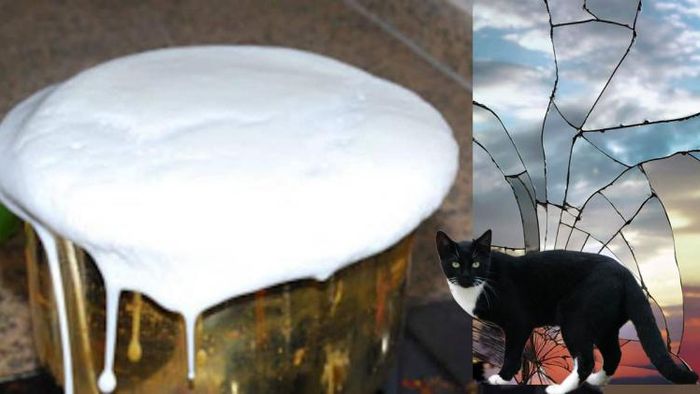 বাড়ি থেকে যাত্রার আগে কিছু ঘটনা অশুভ ইঙ্গিত