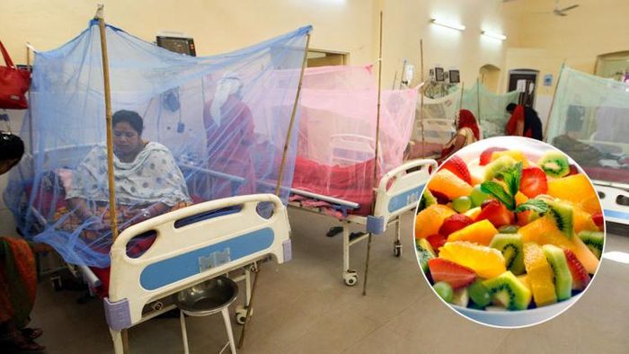 ডেঙ্গির ডায়েটে অবশ্যই এই বিষয়গুলি লক্ষ্য রাখা উচিত