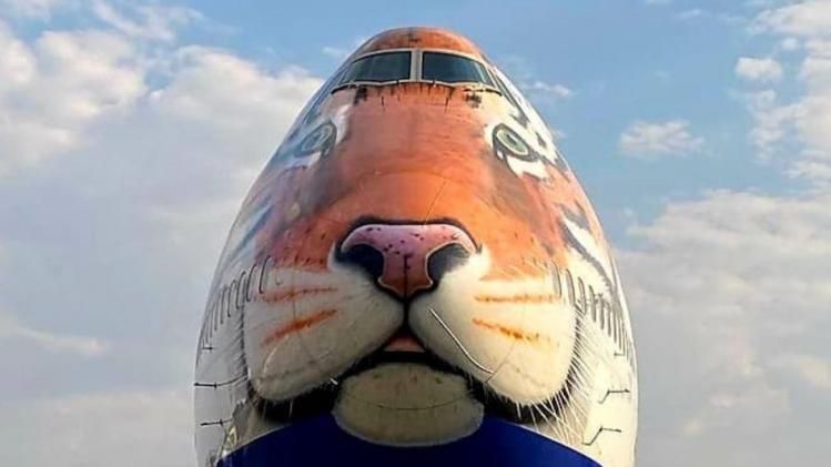 চিতা আসছে ভারতে, গোয়ালিয়রে ল্যান্ড বিশেষ বিমানের