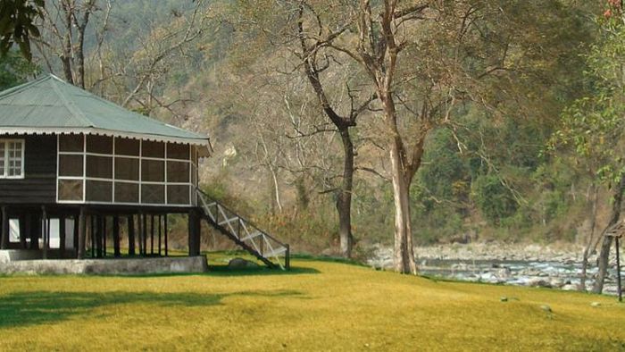 আজ থেকে খুলে গেল উত্তরবঙ্গের সমস্ত জঙ্গল, পুজোয় কোথায়, কীভাবে ঘুরবেন?