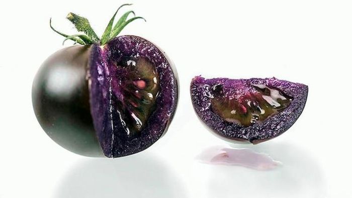 Purple Tomato: ক্যানসার-ডায়বেটিস থেকে বাঁচাতে তৈরি বেগুনি টমেটো, এর প্রচুর গুণ
