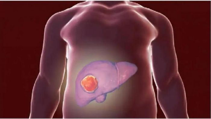 প্রতীকী ছবি