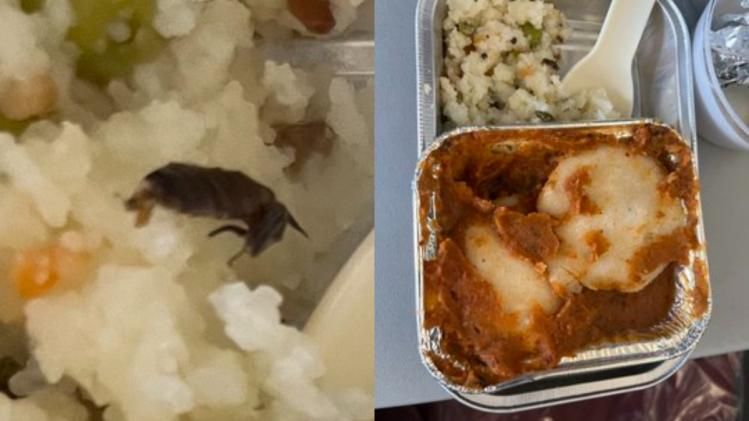 ভিস্তারার বিমানের খাবারে আরশোলা