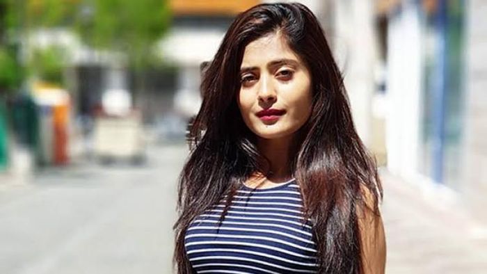 আত্মহত্যা করেছেন জনপ্রিয় টিভি অভিনেত্রী বৈশালী ঠক্কর