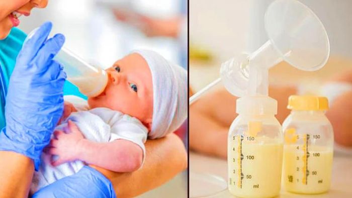 মাতৃদুগ্ধ।