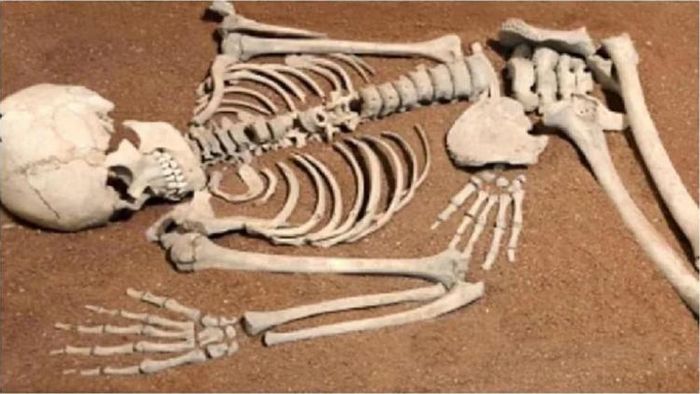 আরও পড়ুন