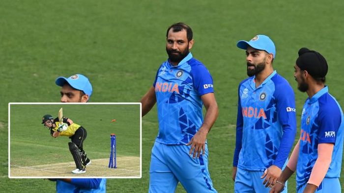 মহম্মদ শামি।