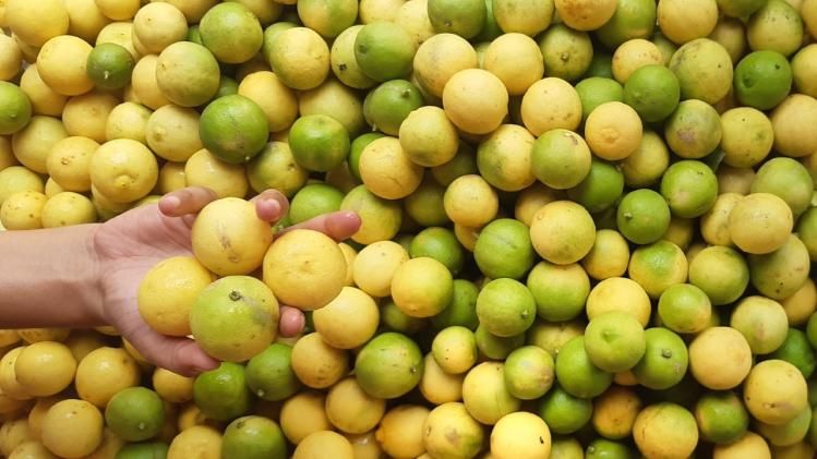 কন্ট্রোলে থাকবে ব্লাড সুগার, এই ৫ উপায়ে খেয়ে দেখুন লেবু