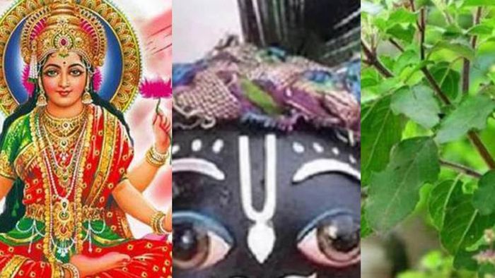 লক্ষ্মী-তুলসী-শালগ্রাম।