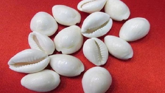 দীপাবলিতে করুন পাঁচটি কড়ির টোটকা, আর্থিক সমস্য়া কাছেও ঘেঁষবে না