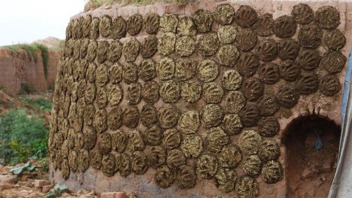 এক টুকরো ঘুঁটেতে ভাগ্য ফেরান