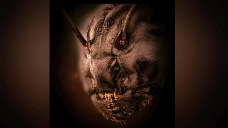 পিঁপড়েও হয়ে যায় 'জম্বি', জানুন এই 'ভয়ঙ্কর সত্য' সম্পর্কে