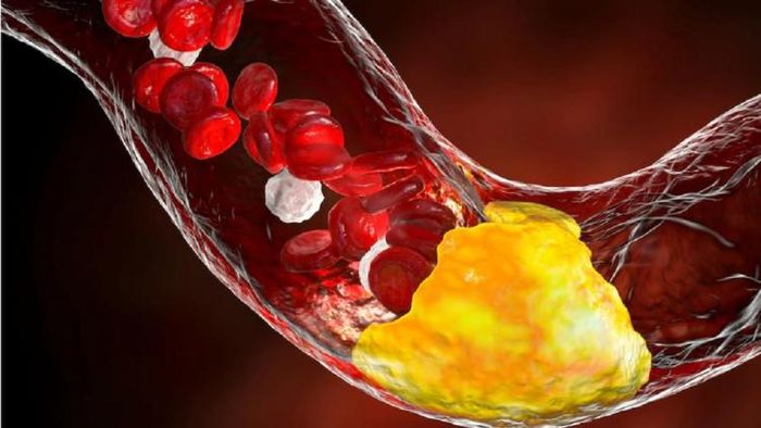 প্রতীকী ছবি