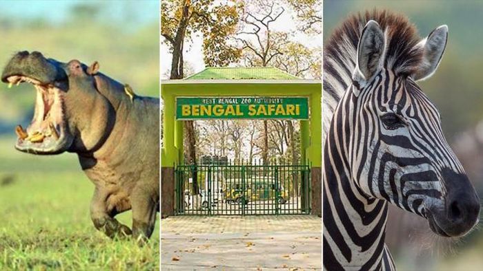 Bengal Safari Park Siliguri: শিলিগুড়িতে বেঙ্গল সাফারি পার্কে এবার আস্তানা গড়বে জেব্রা-জলহস্তি