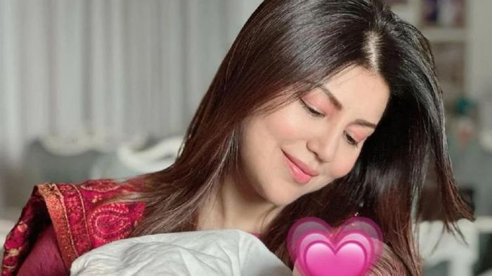 দ্বিতীয় সন্তানের সঙ্গে অভিনেত্রী দেবীনা ব্যানার্জি
