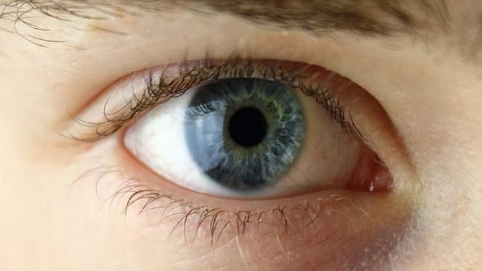 প্রতীকী ছবি