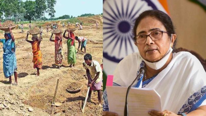 মমতা বন্দ্যোপাধ্যায় নবান্নে রাজ্য মন্ত্রিসভার বৈঠকে একশো দিনের জব কার্ড হোল্ডারদের বিকল্প কাজ দেওয়ার কথা বলেন