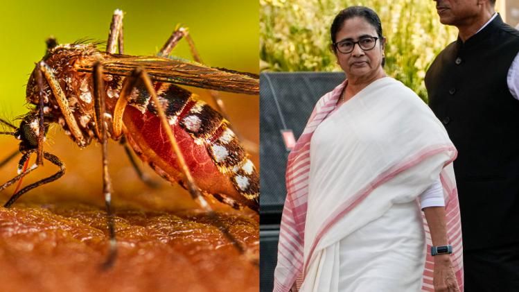 রাস উৎসবের আবহে মঙ্গলবার নদিয়ায় এসেছেন মুখ্যমন্ত্রী মমতা বন্দ্যোপাধ্যায়
