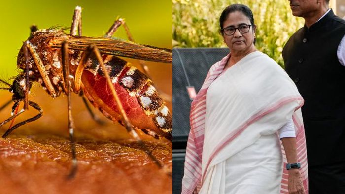 রাস উৎসবের আবহে মঙ্গলবার নদিয়ায় এসেছেন মুখ্যমন্ত্রী মমতা বন্দ্যোপাধ্যায়