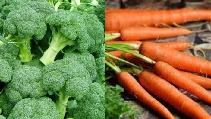 ভিটামিন এ-এর অভাবে দৃষ্টিশক্তি কমে