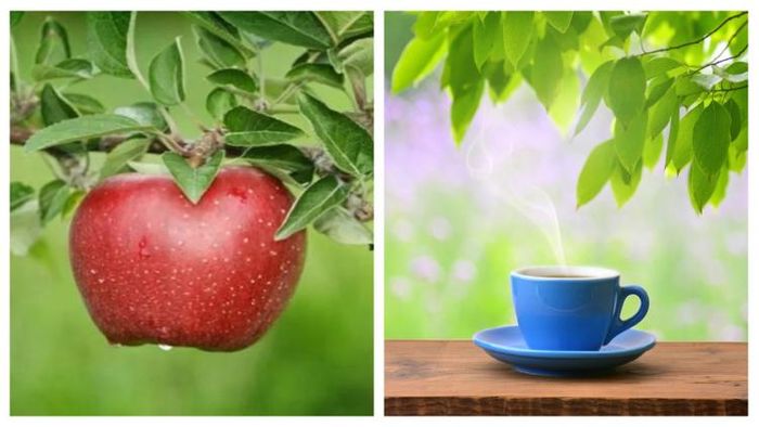 প্রতীকী ছবি