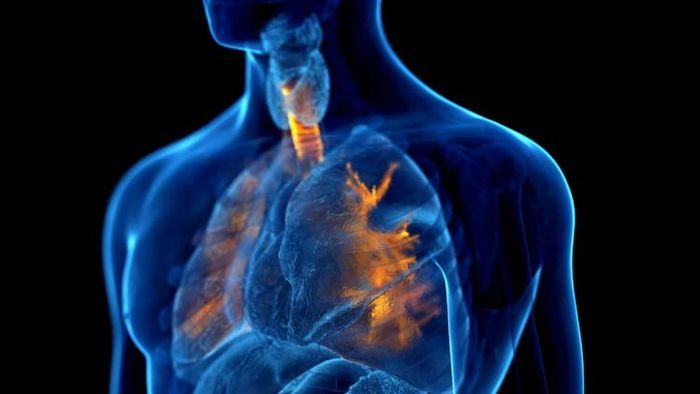 ফুসফুসের সমস্যার প্রতিকার।