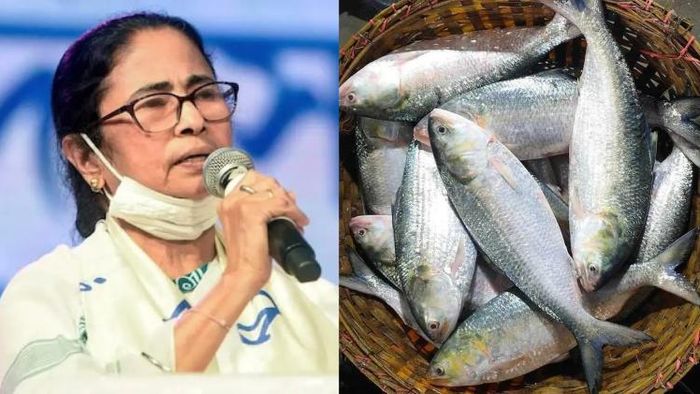 মমতা বন্দ্যোপাধ্যায়।