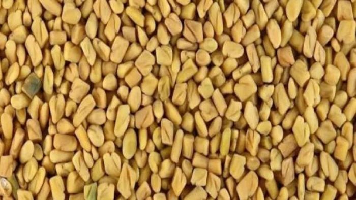 প্রতীকী ছবি