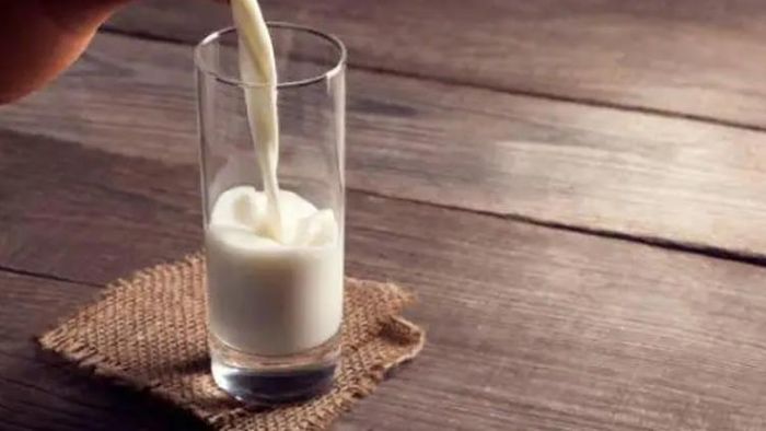 দুধের সঙ্গে কী কী খাওয়া উচিৎ নয়।