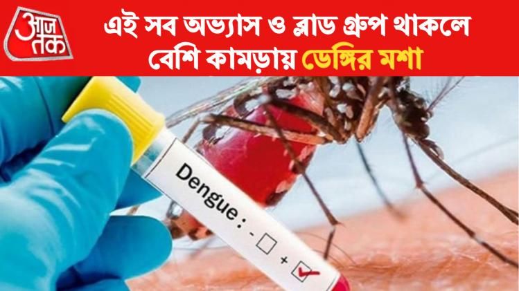 এই সব ব্যক্তিদের বেশি কামড়ায় মশা। 