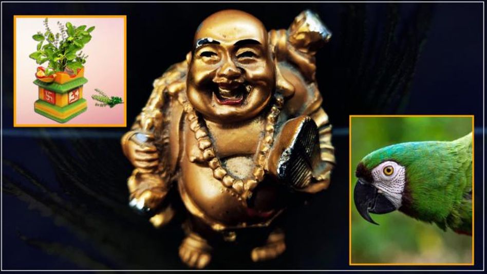 ২০২৩ শুরু হওয়ার আগেই বাড়িতে আনুন এই ৯ জিনিস, অশুভ সময় শেষ হবে  ২০২৩ শুরু হওয়ার আগেই বাড়িতে আনুন এই ৯ জিনিস, অশুভ সময় শেষ হবে