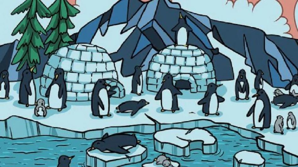 ছবিতে পেঙ্গুইনগুলির মাঝে লুকিয়ে একটি সিল মাছও, খুঁজে পেলে আপনি জিনিয়াস ছবিতে পেঙ্গুইনগুলির মাঝে লুকিয়ে একটি সিল মাছও, খুঁজে পেলে আপনি জিনিয়াস